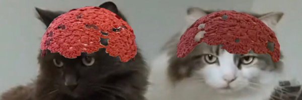 StuffKSaid Profile Banner