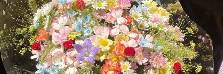 Fortune Rich Olpor banner