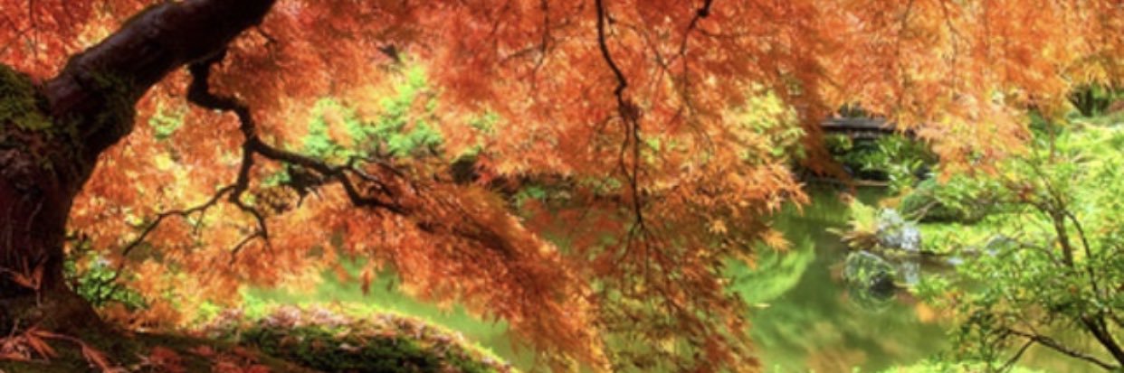 helganaddaf's profile banner image