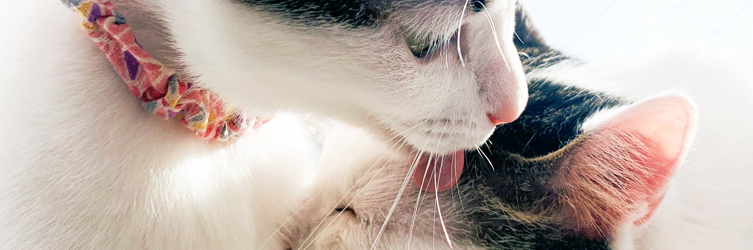 rill1029's profile banner image