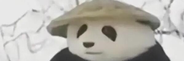 熊猫头|PANDA HOME banner