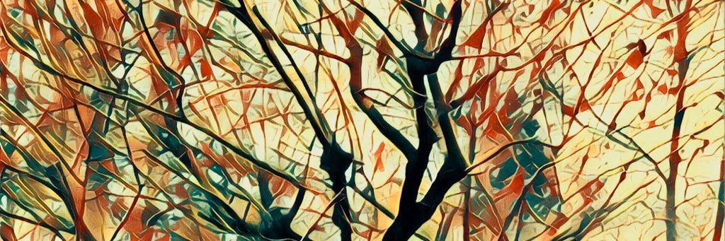 AndreaBocca95's profile banner image