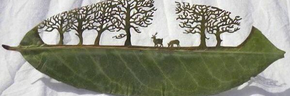 Idythforgod's profile banner image