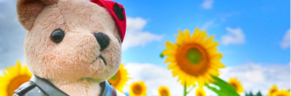 _kohakuuu_'s profile banner image
