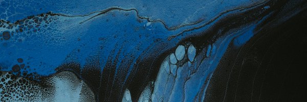 sus_pol Profile Banner