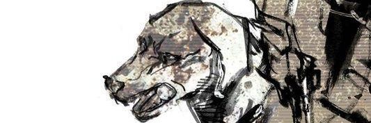 franzi 🐾 banner