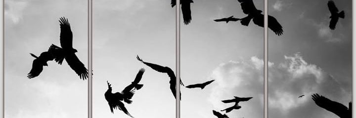 هیتلُــر banner
