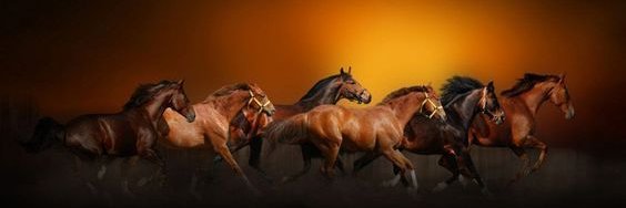 ︵‿︵‿୨♡ يوسف ♡୧‿︵‿︵ Jozeeph ︵‿︵‿୨♡ يوسف ♡୧‿︵‿︵ banner