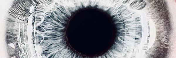 RonEappleseed Profile Banner