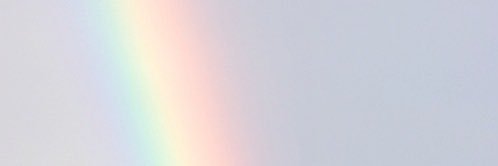 rileyfarq's profile banner image