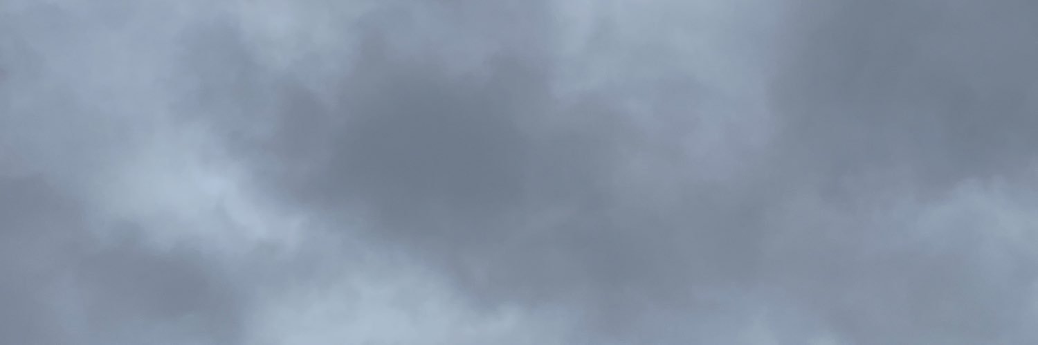 cara 🦔 banner