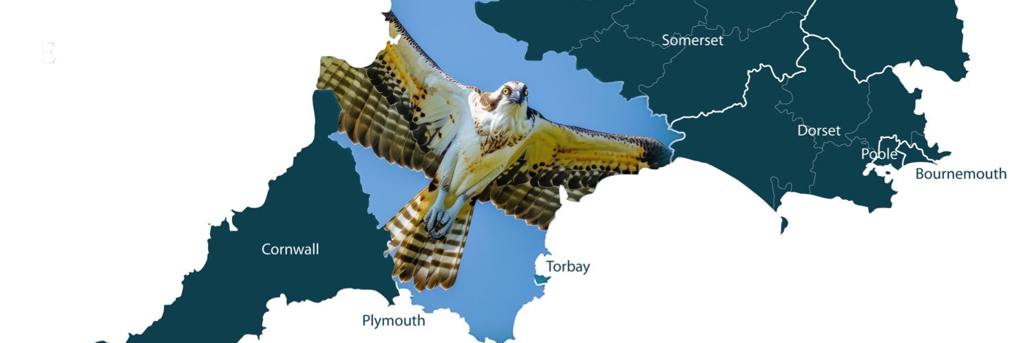Devon Osprey Partnership CIC banner