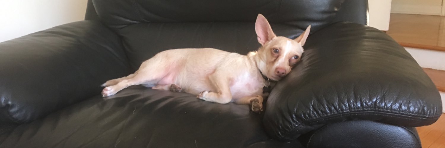 Rebecca DelgadoSmith banner