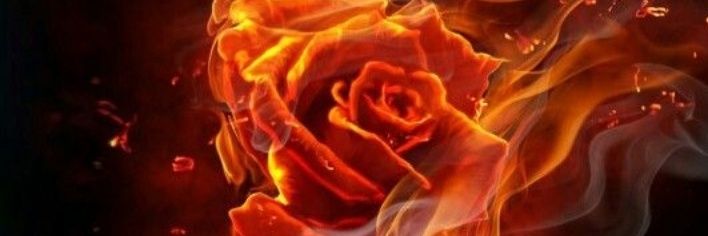 RogueRomantic's profile banner image