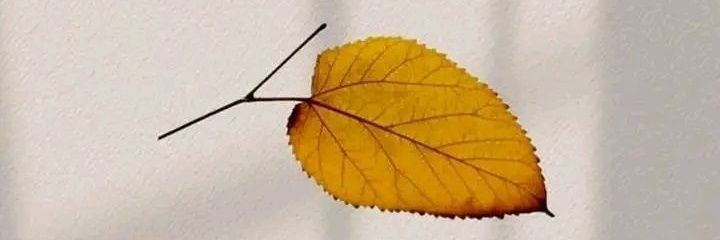 متأرجحہ 🔺🔻 banner