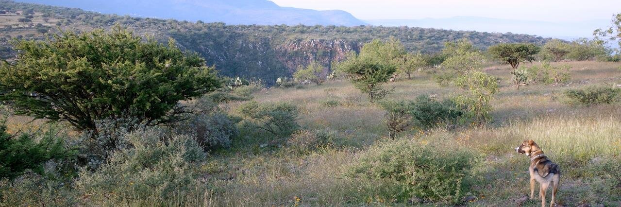 Probabilistically Certain⚡ ∞/21M banner