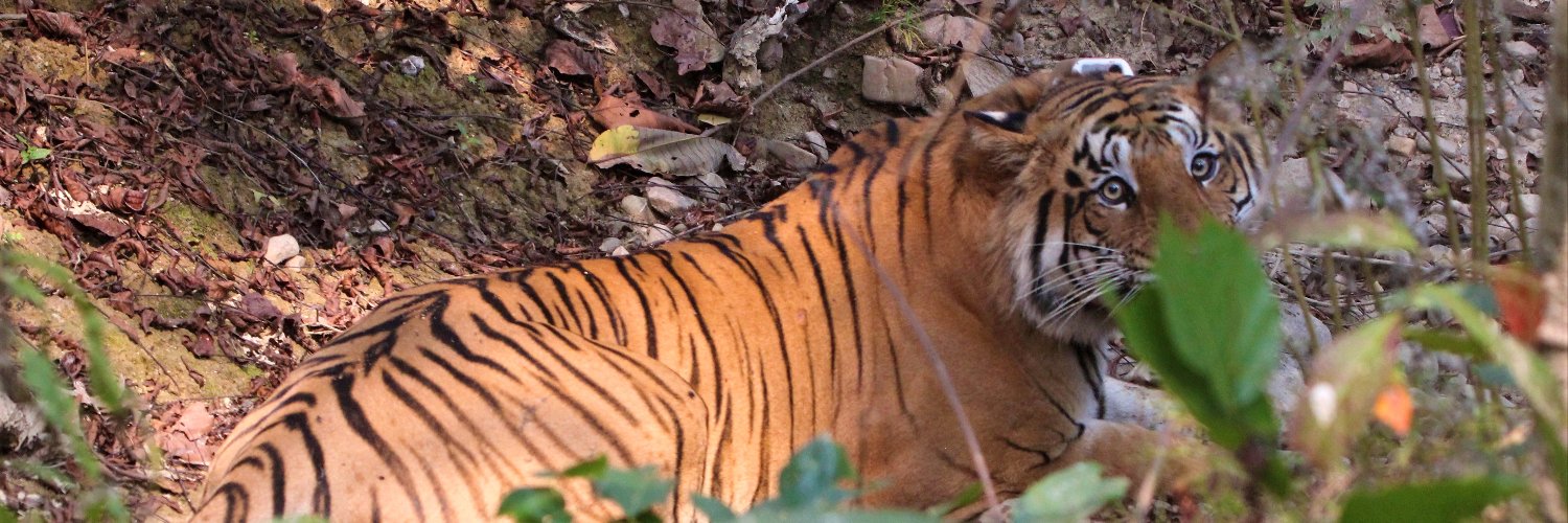 KHengaju's profile banner image