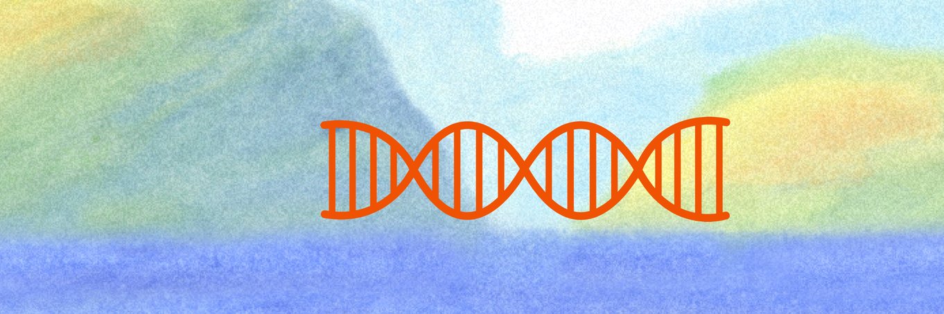 Excedr's banner
