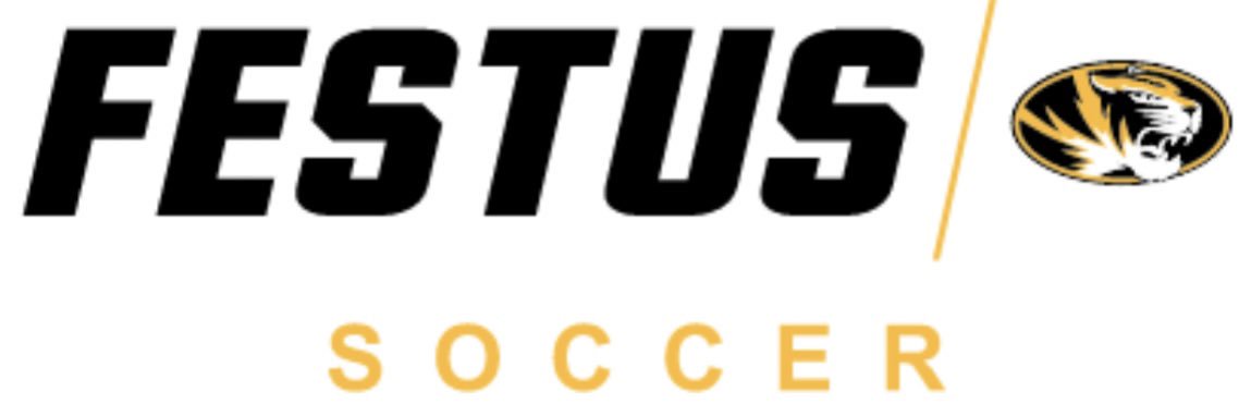 FestusSoccer's profile banner image