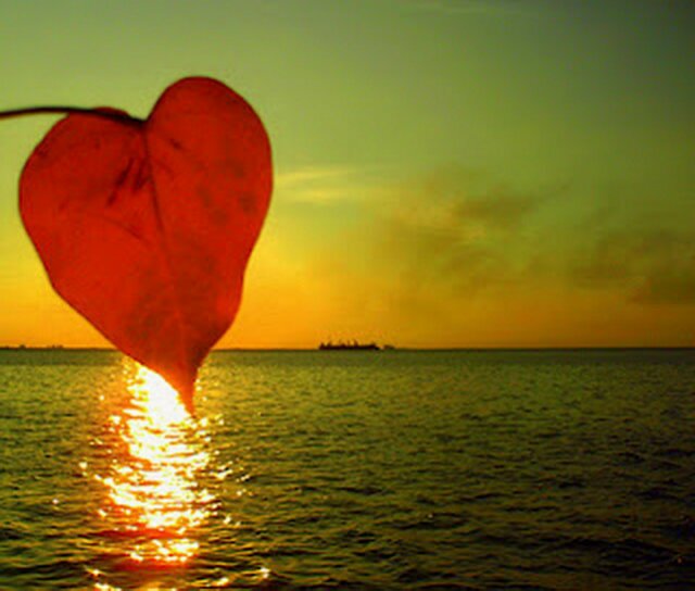 Calidad_de_Vida's profile banner image