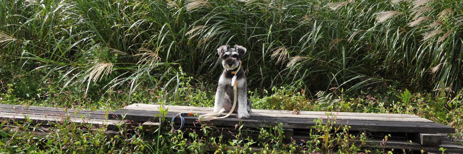 梃子山ジャンボ banner