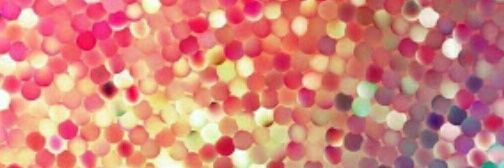 Bre_sanchez's profile banner image