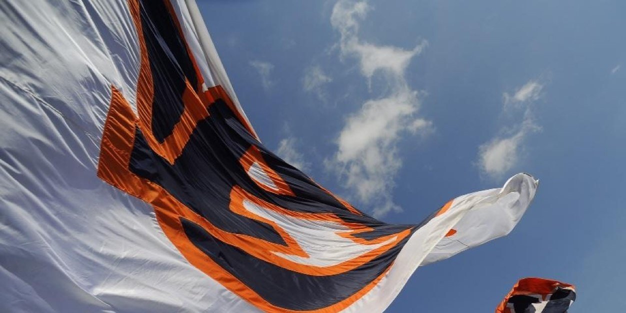 AUSGA_President's profile banner image