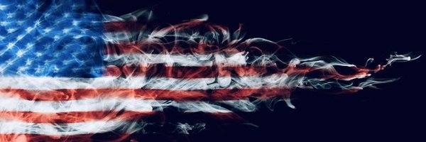 AesPolitics1 Profile Banner