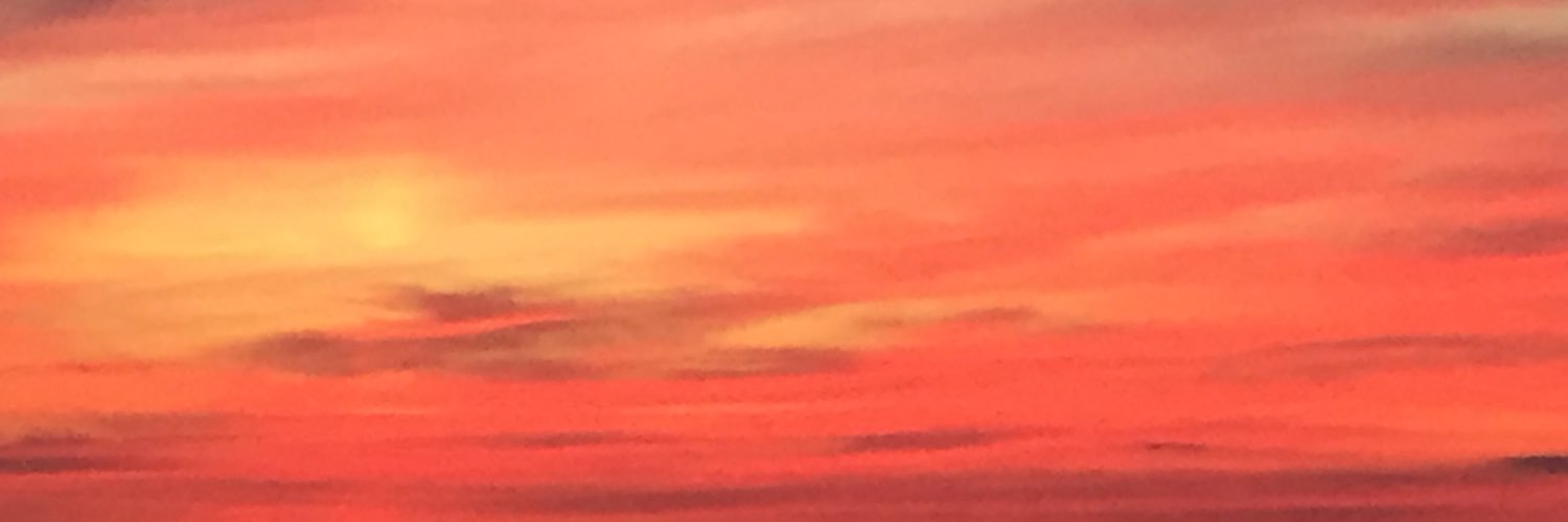 danremin's profile banner image