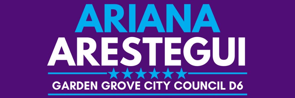 Ariana Arestegui banner