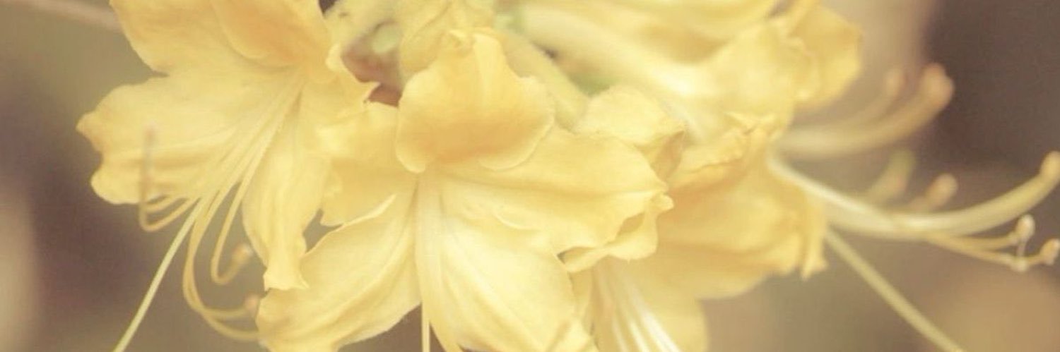 ^-^ 🌧️ banner
