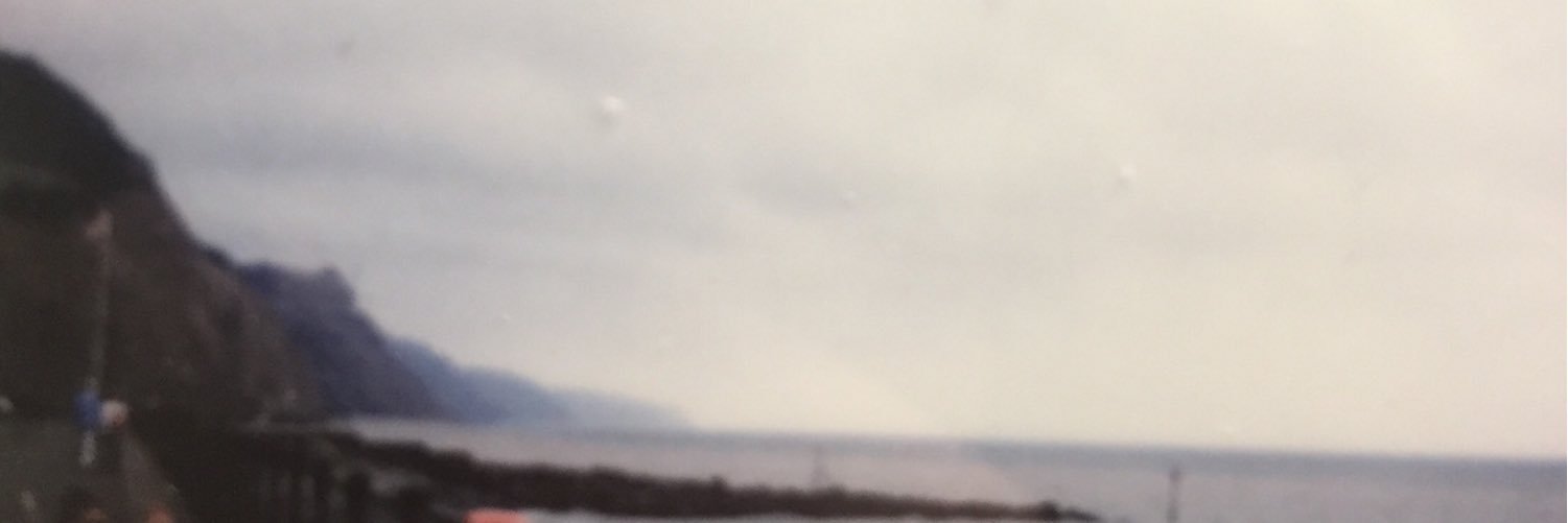 frejamose's profile banner image