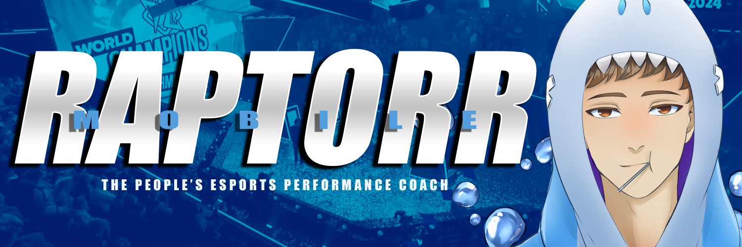 Coach Raptor banner