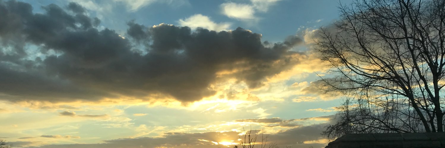 GREENIEgoblin13's profile banner image