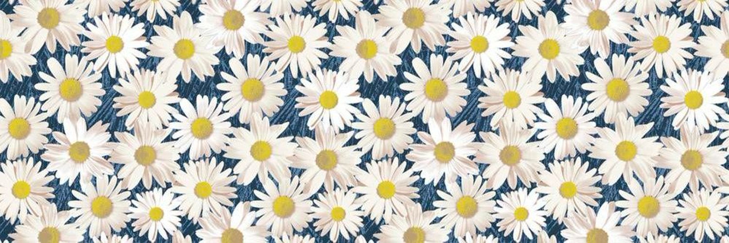 privsunnvy's profile banner image