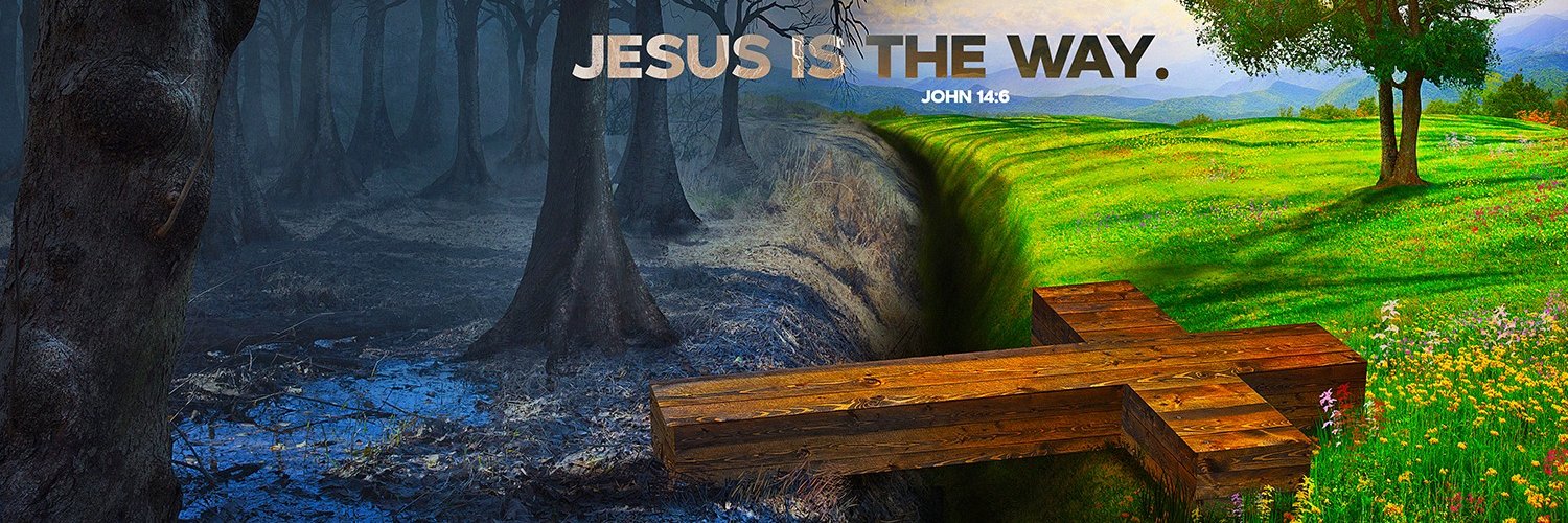 PORKinBUSH 🇨🇦🇺🇸✟🇵🇹🇮🇪 banner