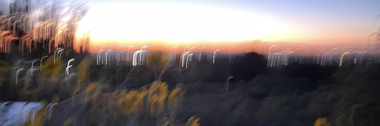 diophys's profile banner image