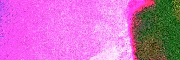 ludovicILMF Profile Banner