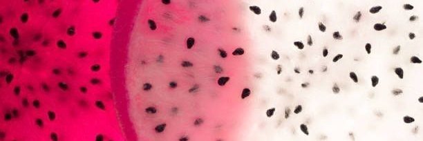 KAILEEEN //COMS OPEEN// banner