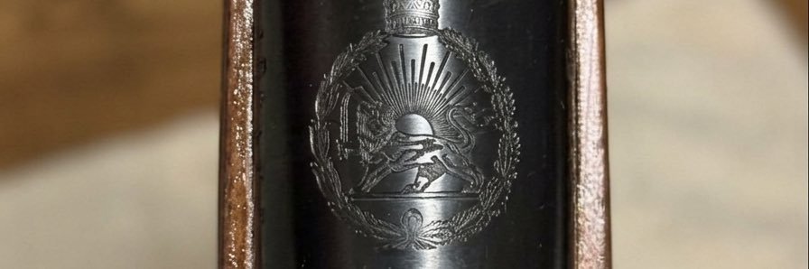 sara banner