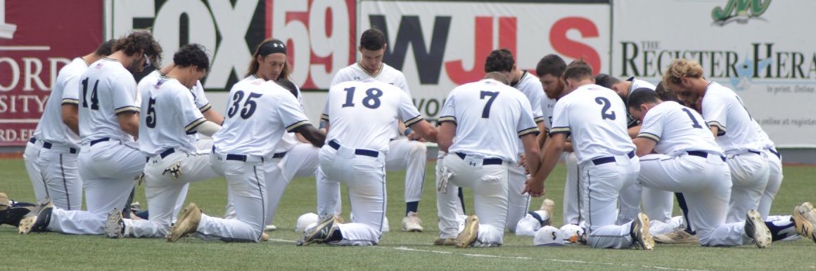 Shepherd Baseball banner