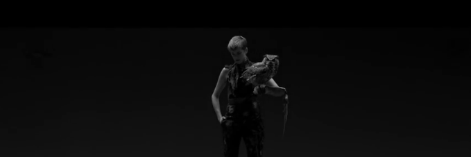 wildpolite's profile banner image