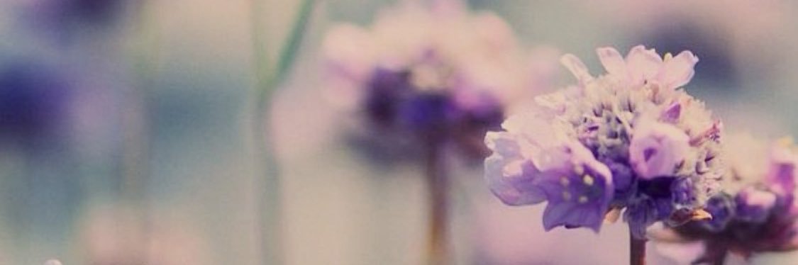 staceykingslien's profile banner image