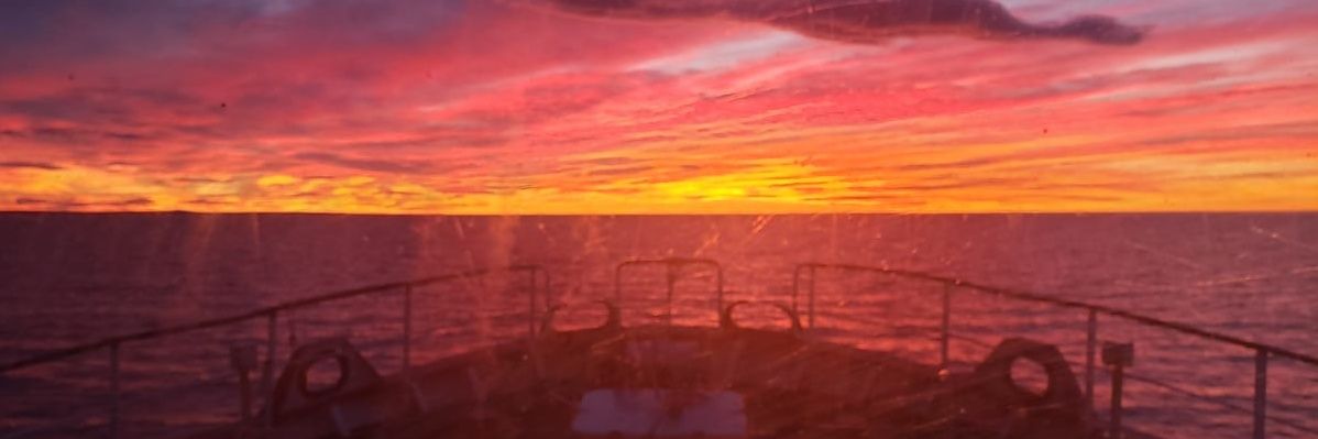 FersicaY's profile banner image