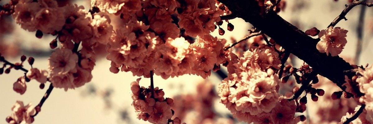 mhmd387's profile banner image