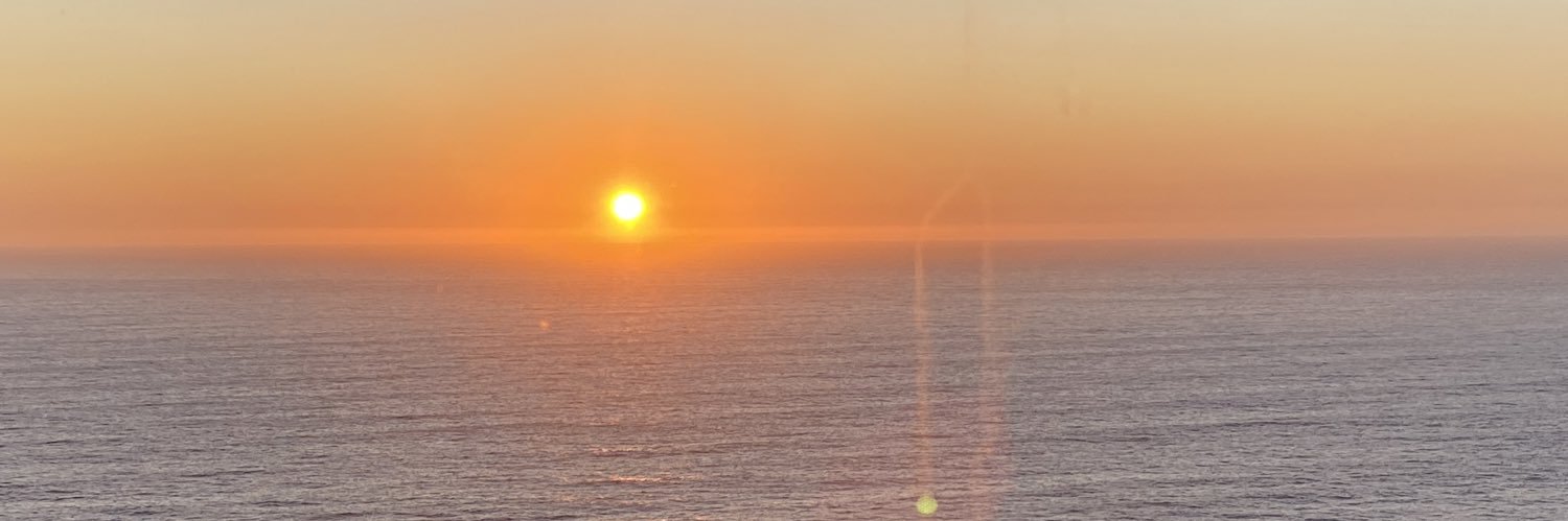 Vicho🇨🇱 banner
