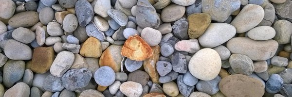 robeirne Profile Banner