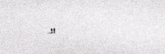 Duckchub banner