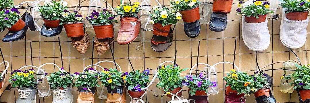 Alejandra Rueda banner