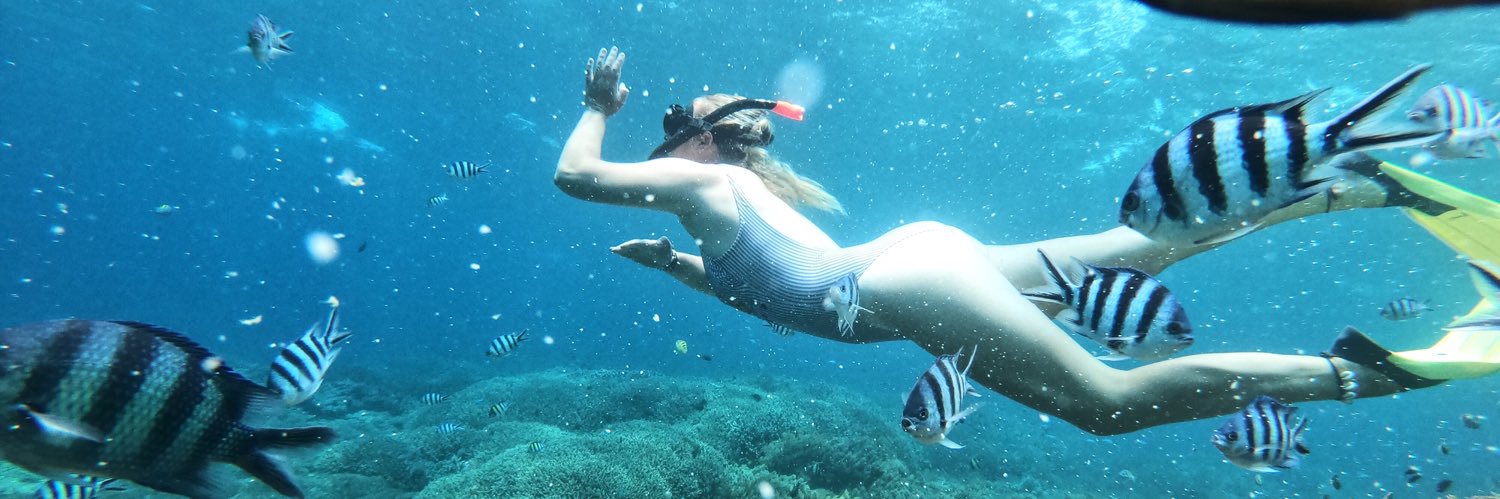 MargauxPyck's profile banner image